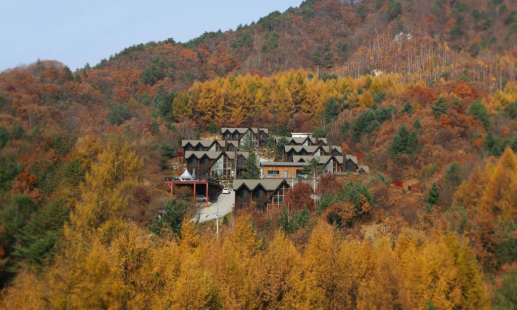 Chalet Resort Pyeongchang Exterior foto